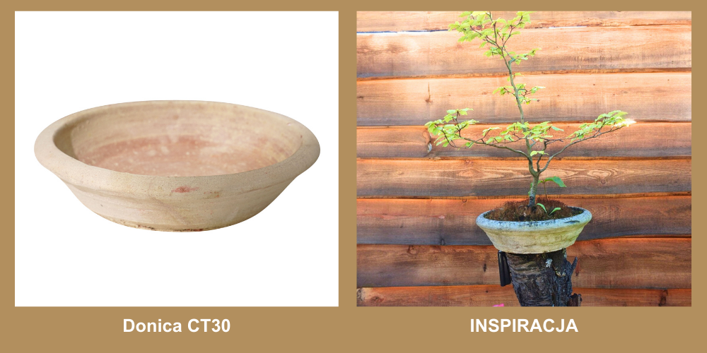 Inspiracja CT30 Inspiracja CT30